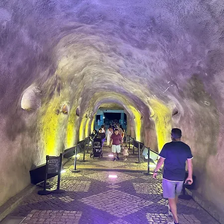 Appartement, Calme Avec Vue Piscine, 1km De La Plage, Olhos De Agua Albufeira